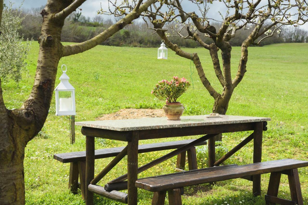Agriturismo Campo Alla Piana Villa Monticchiello Eksteriør billede