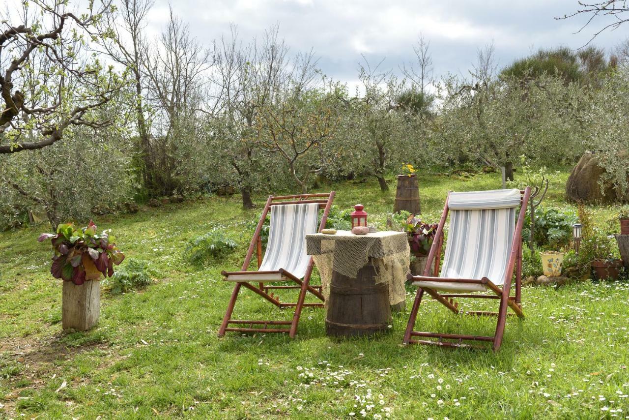 Agriturismo Campo Alla Piana Villa Monticchiello Eksteriør billede