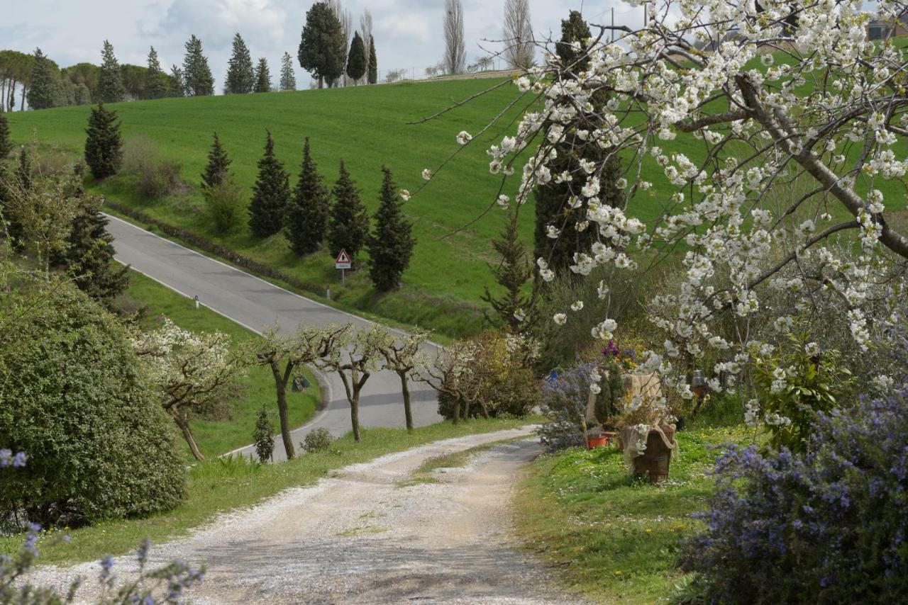 Agriturismo Campo Alla Piana Villa Monticchiello Eksteriør billede